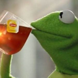 Meet your Posher, Ava